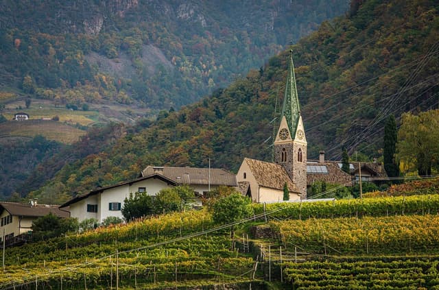 Holidaze featured Home: Vineyard - Historic vineyard