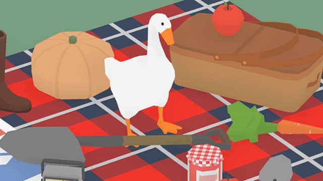 Holidaze featured Home: zzzzzzzzzzzzzzzzzzzzz Picnic Blanket under the Stars - Finest sheep's wool blanket, large and comfortable enough to sleep under the stars.
All picnic food included